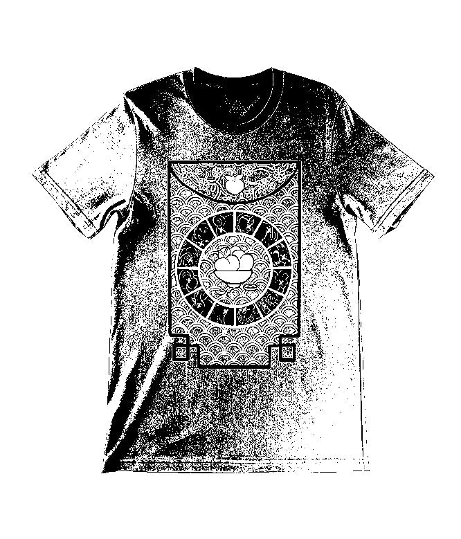 MYSTERY TEE - ONLY $10